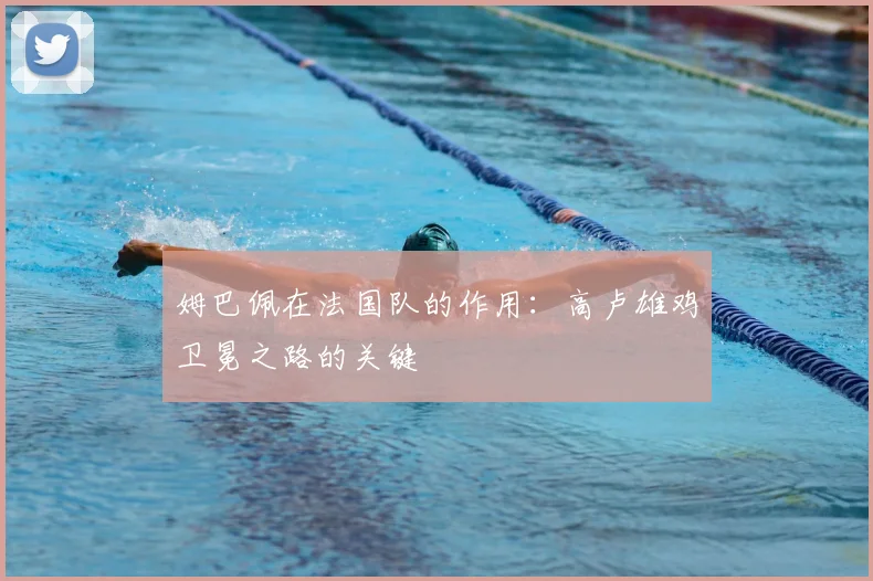 姆巴佩在法国队的作用:高卢雄鸡卫冕之路的关键