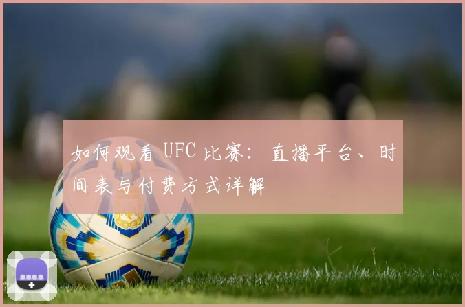 如何观看 UFC 比赛:直播平台、时间表与付费方式详解
