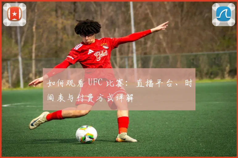 如何观看 UFC 比赛：直播平台、时间表与付费方式详解