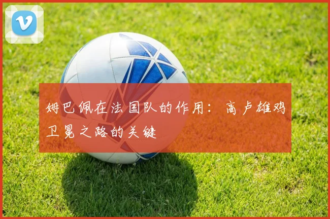 姆巴佩在法国队的作用:高卢雄鸡卫冕之路的关键
