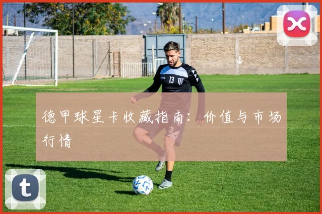 德甲球星卡收藏指南：价值与市场行情
