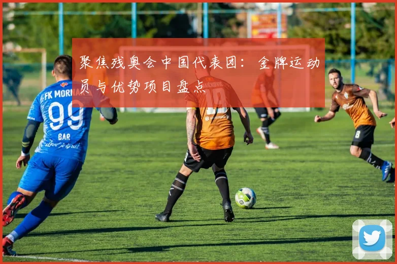 聚焦残奥会中国代表团：金牌运动员与优势项目盘点